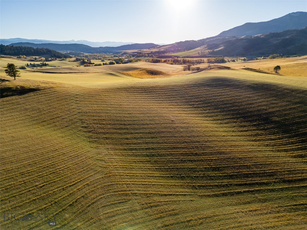 , Bozeman MT 59715
