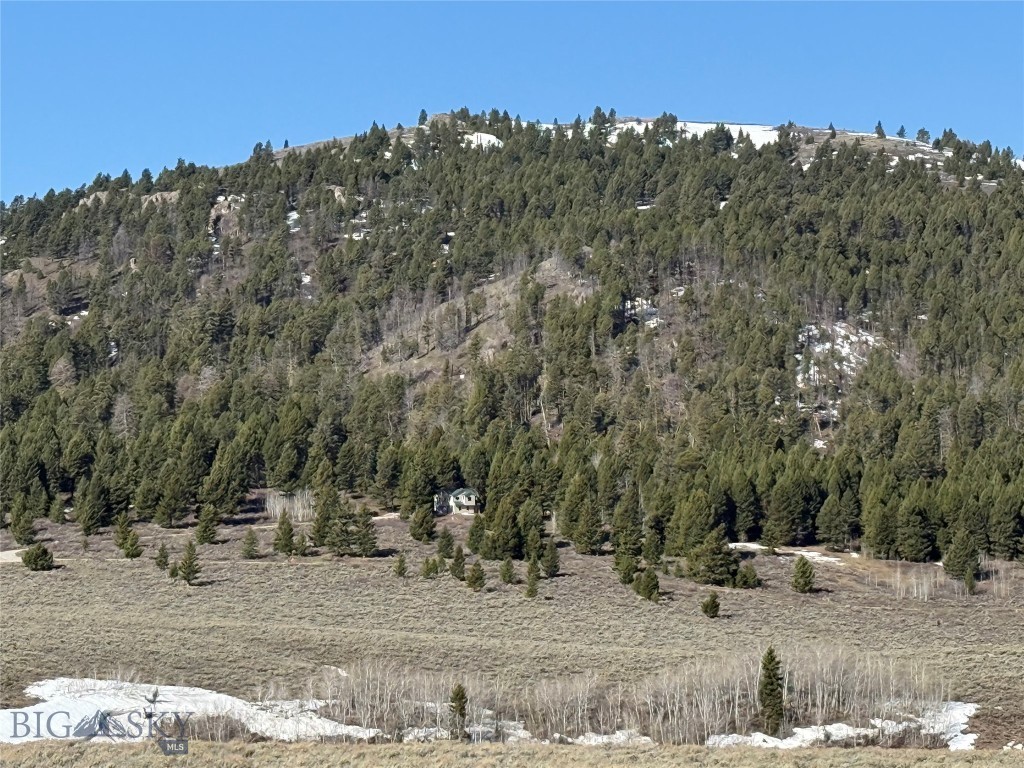 Parcel 23 Buffalo Lance Ranch, Cameron MT 59720