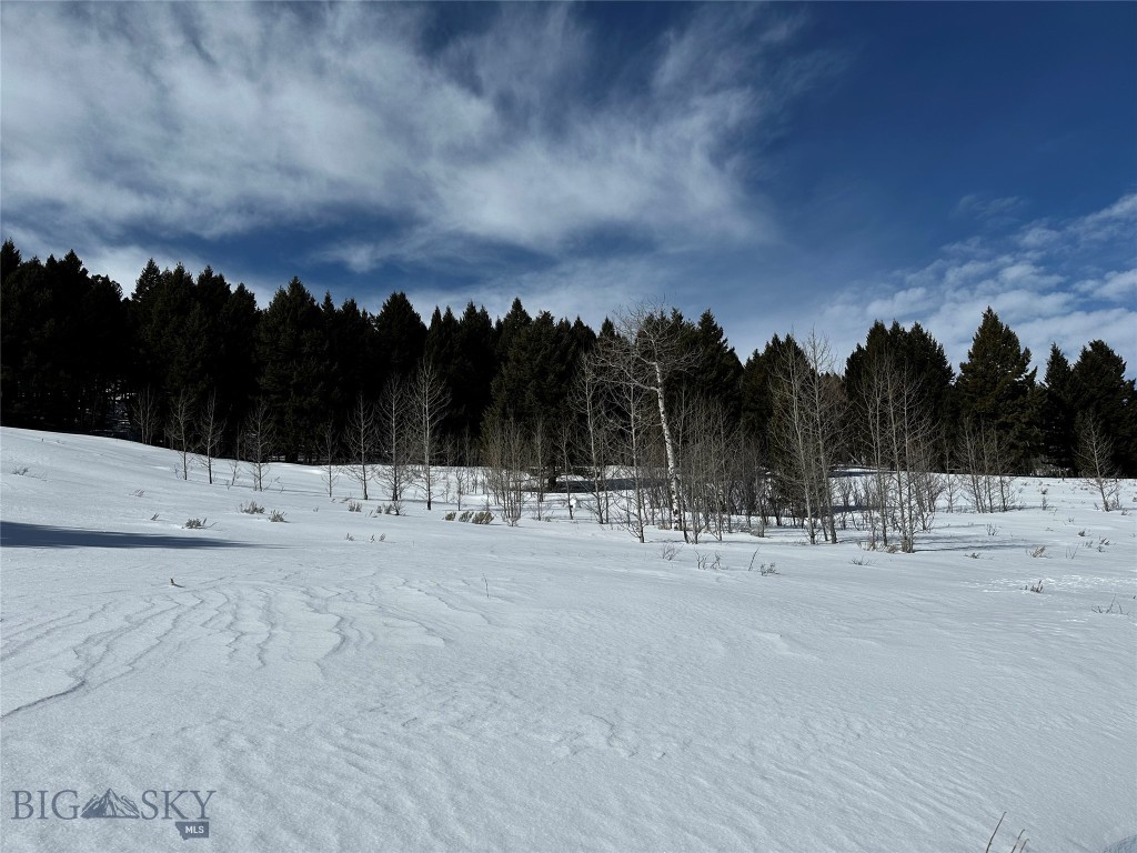 Parcel 23 Buffalo Lance Ranch, Cameron MT 59720