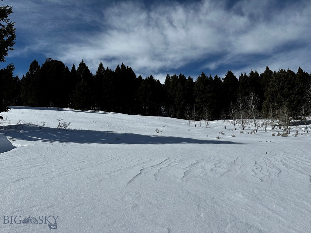 Parcel 23 Buffalo Lance Ranch, Cameron MT 59720