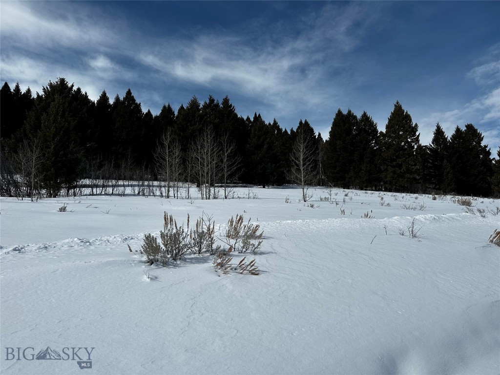 Parcel 23 Buffalo Lance Ranch, Cameron MT 59720