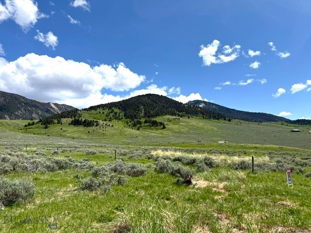 Parcel 77 and GVT lot 6 final legal TBD, Cameron MT 59720