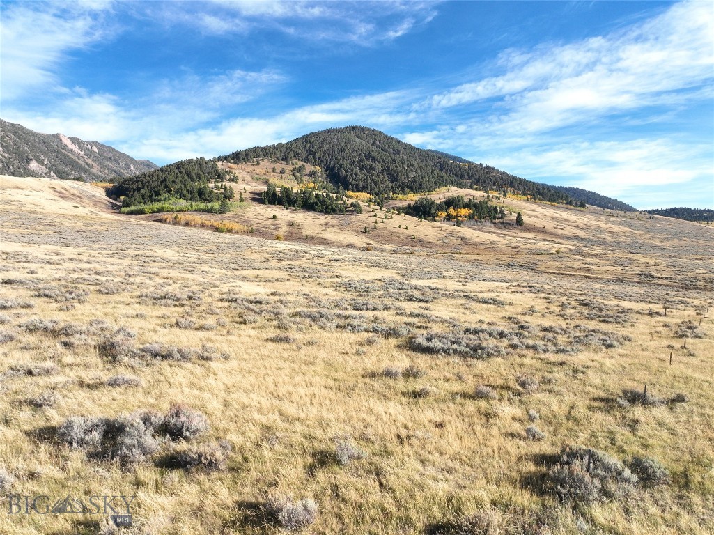 Parcel 77 and GVT lot 6 final legal TBD, Cameron MT 59720