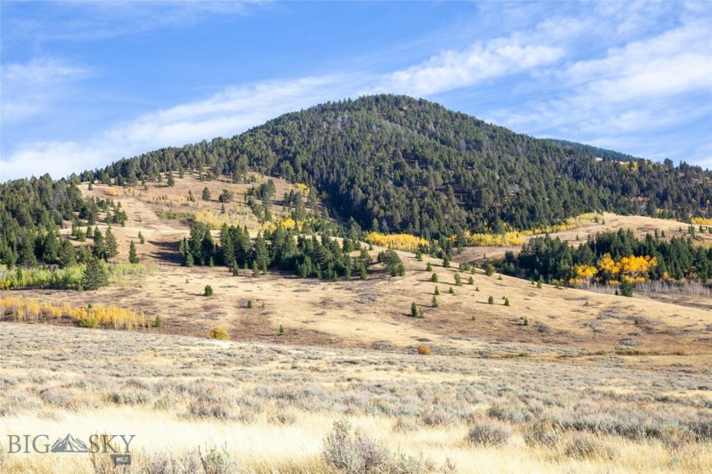 Parcel 77 and GVT lot 6 final legal TBD, Cameron MT 59720