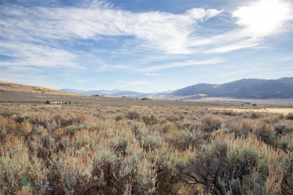 Parcel 77 and GVT lot 6 final legal TBD, Cameron MT 59720