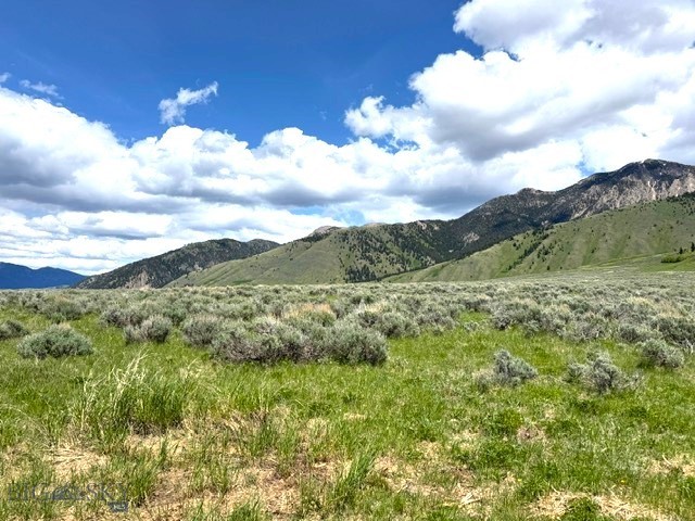 Parcel 77 and GVT lot 6 final legal TBD, Cameron MT 59720