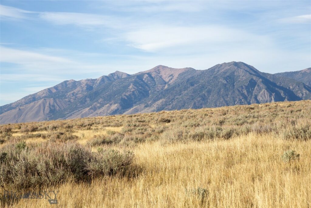 Parcel 77 and GVT lot 6 final legal TBD, Cameron MT 59720