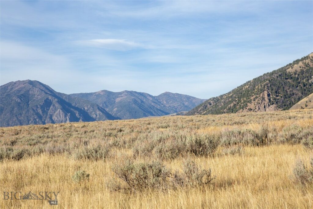 Parcel 77 and GVT lot 6 final legal TBD, Cameron MT 59720