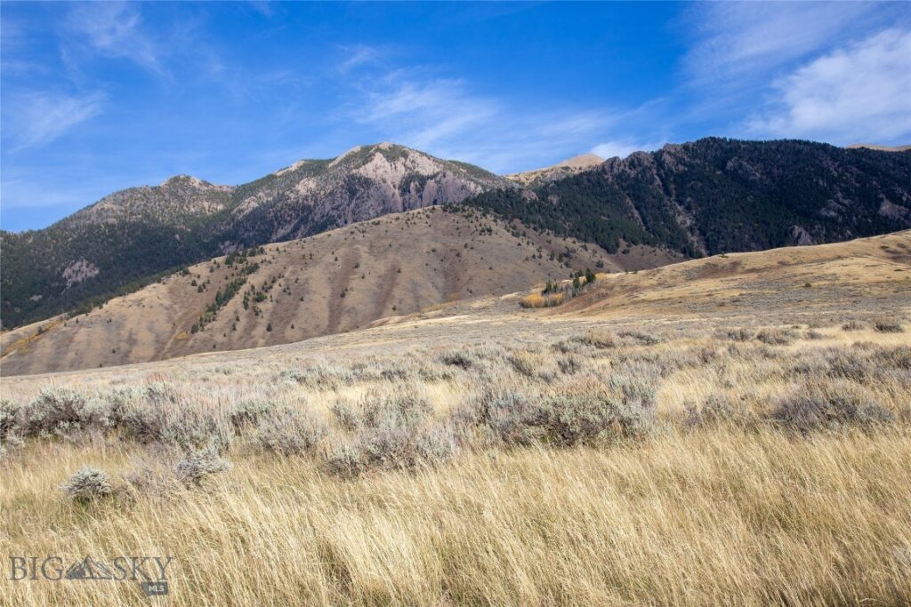 Parcel 77 and GVT lot 6 final legal TBD, Cameron MT 59720