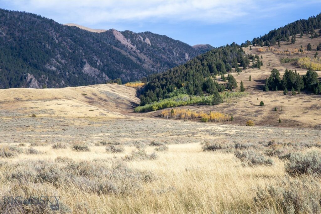 Parcel 77 and GVT lot 6 final legal TBD, Cameron MT 59720