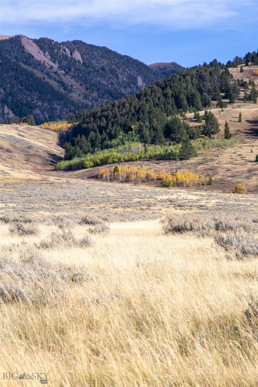 Parcel 77 and GVT lot 6 final legal TBD, Cameron MT 59720