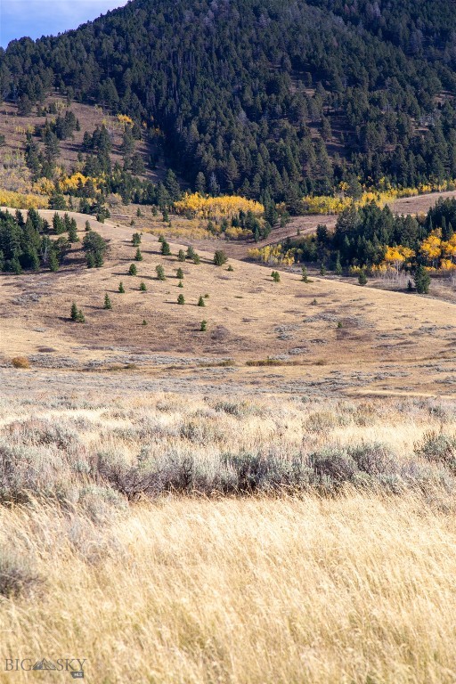 Parcel 77 and GVT lot 6 final legal TBD, Cameron MT 59720