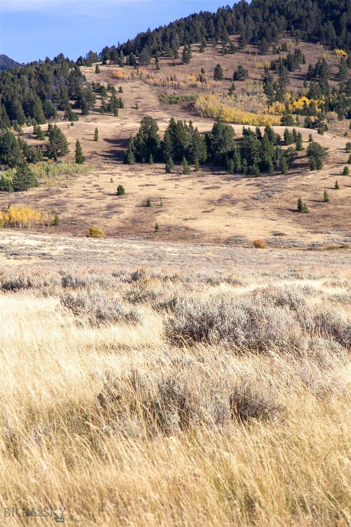 Parcel 77 and GVT lot 6 final legal TBD, Cameron MT 59720