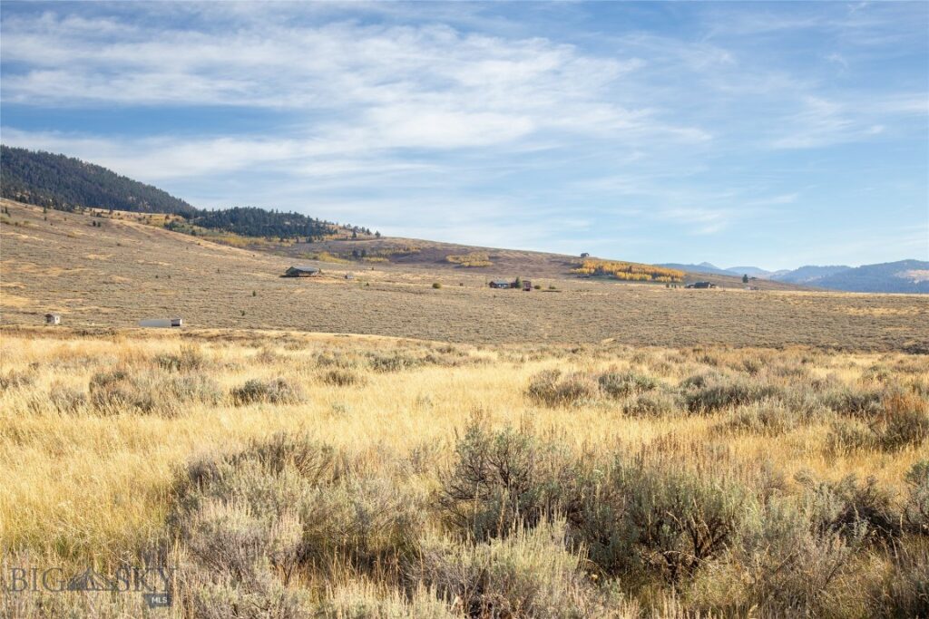 Parcel 77 and GVT lot 6 final legal TBD, Cameron MT 59720