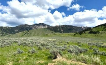 Parcel 77 and GVT lot 6 final legal TBD, Cameron MT 59720