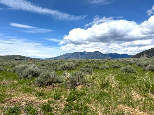 Parcel 77 and GVT lot 6 final legal TBD, Cameron MT 59720