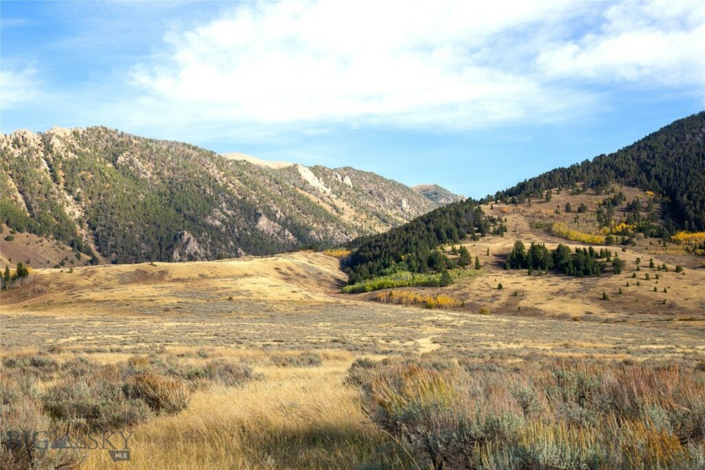 Parcel 77 and GVT lot 6 final legal TBD, Cameron MT 59720