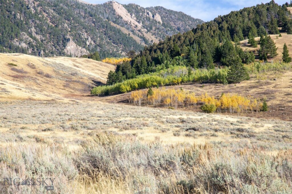 Parcel 77 and GVT lot 6 final legal TBD, Cameron MT 59720