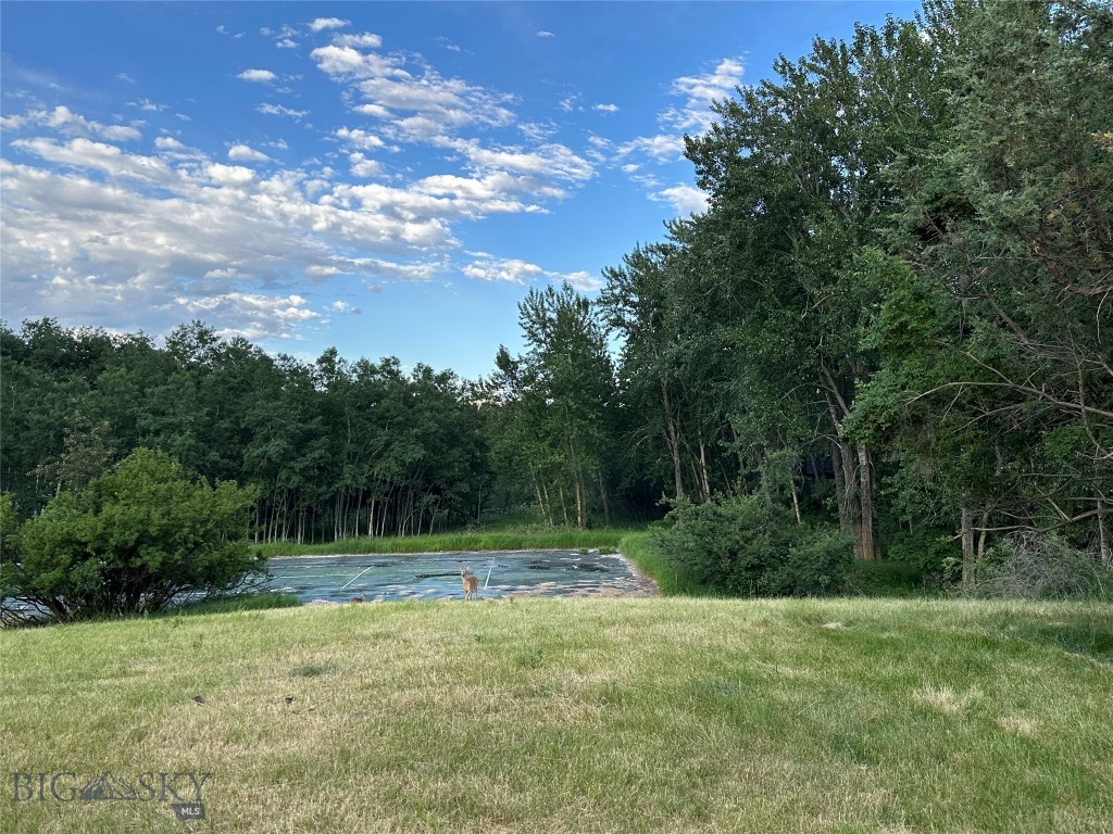 TBD Spring Creek Drive, Bozeman MT 59715