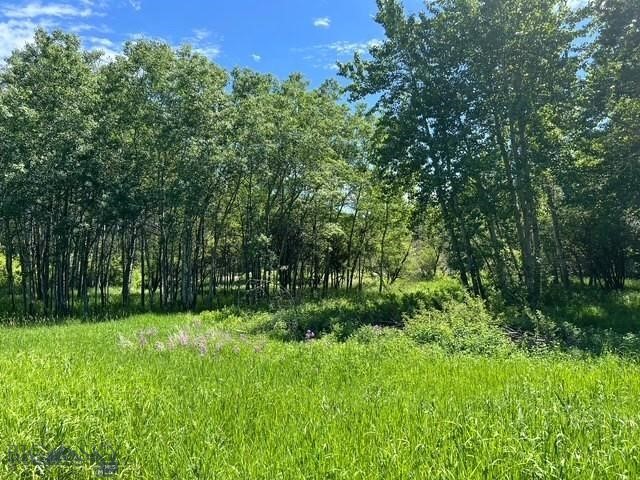 TBD Spring Creek Drive, Bozeman MT 59715