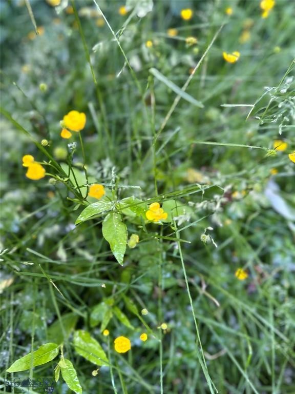 TBD Spring Creek Drive, Bozeman MT 59715