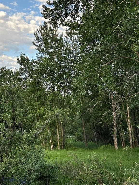 TBD Spring Creek Drive, Bozeman MT 59715