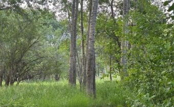 TBD Spring Creek Drive, Bozeman MT 59715