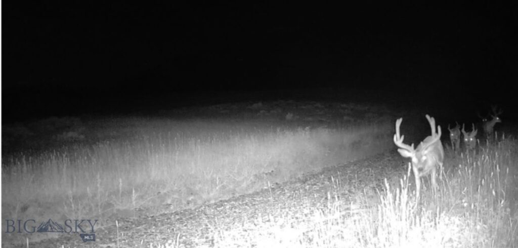 Springhill Vistas Ranch at Four Bar Ranches, Belgrade MT 59714