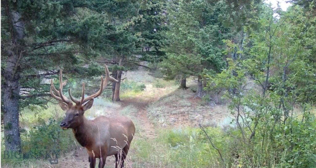 Springhill Vistas Ranch at Four Bar Ranches, Belgrade MT 59714