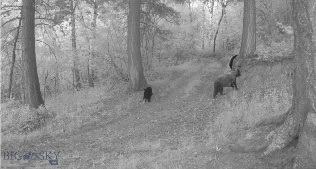 Springhill Vistas Ranch at Four Bar Ranches, Belgrade MT 59714