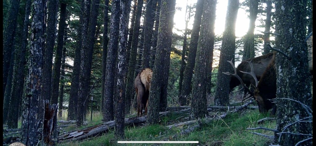 Springhill Vistas Ranch at Four Bar Ranches, Belgrade MT 59714