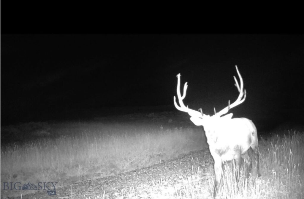 Springhill Vistas Ranch at Four Bar Ranches, Belgrade MT 59714