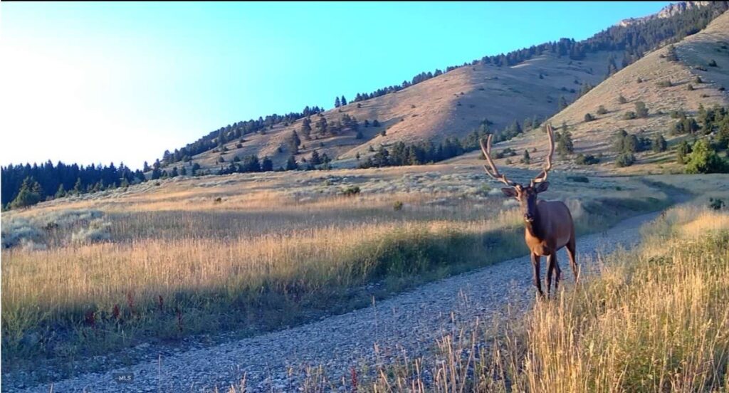 Springhill Vistas Ranch at Four Bar Ranches, Belgrade MT 59714
