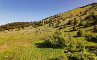 Springhill Vistas Ranch at Four Bar Ranches, Belgrade MT 59714