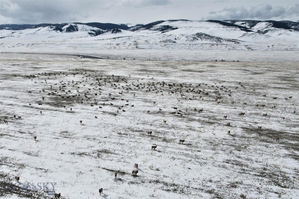 Tract C1 TBD HWY 287, Cameron MT 59720