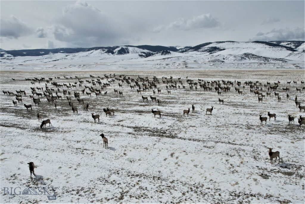 Tract C1 TBD HWY 287, Cameron MT 59720