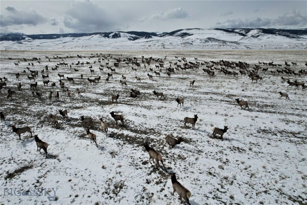 Tract C1 TBD HWY 287, Cameron MT 59720