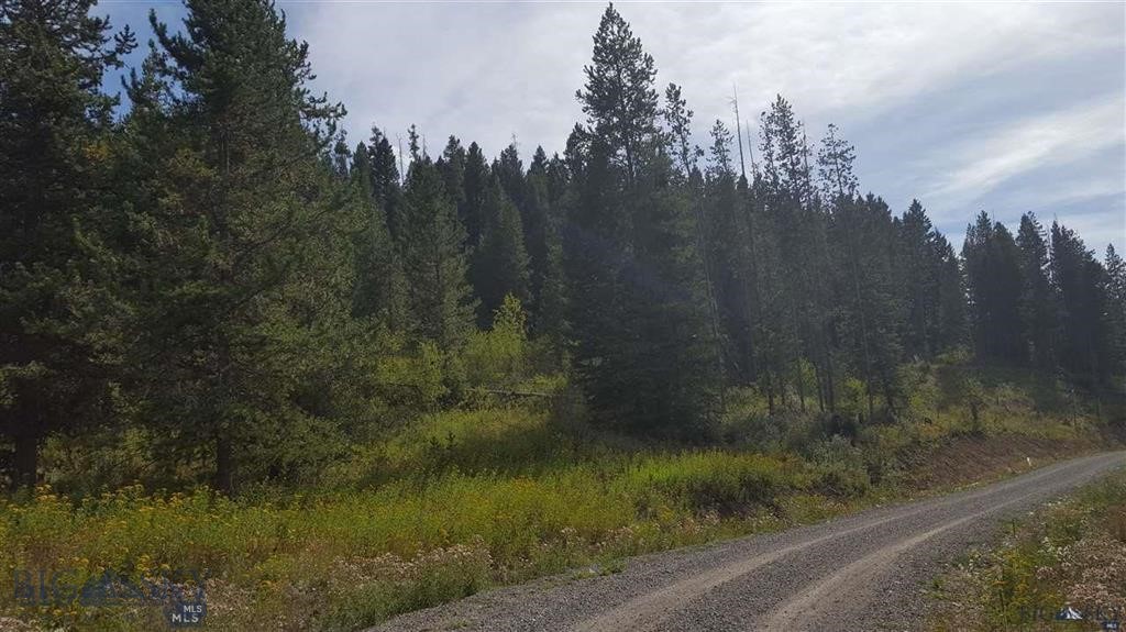Tract 11 Mountain Moose Road, Bozeman MT 59715