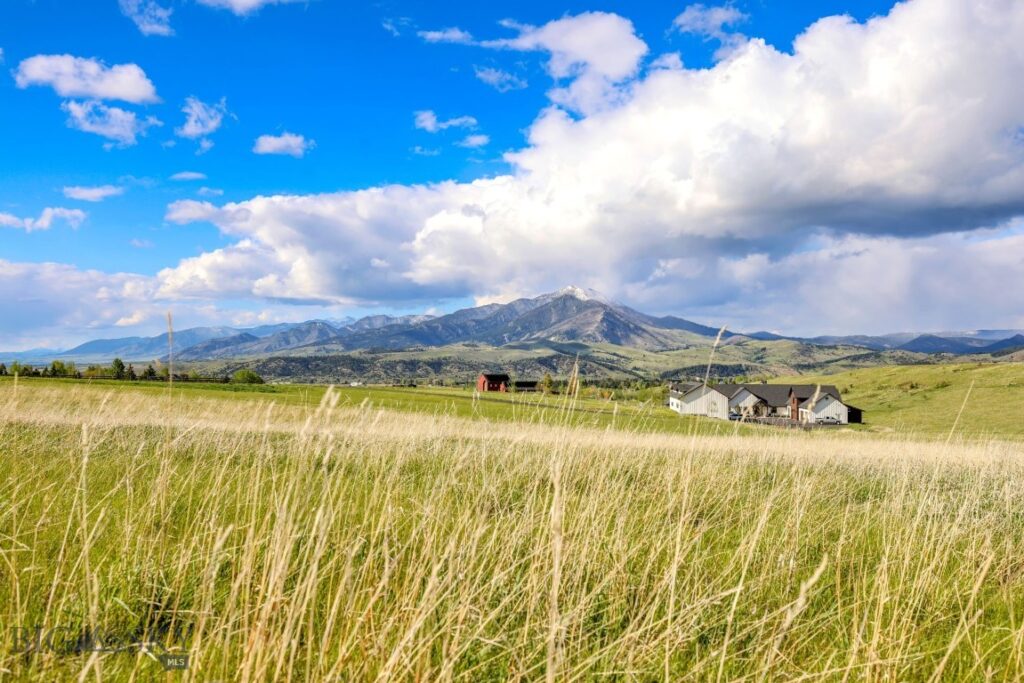 Tract 3A Mcgee Drive, Bozeman MT 59715