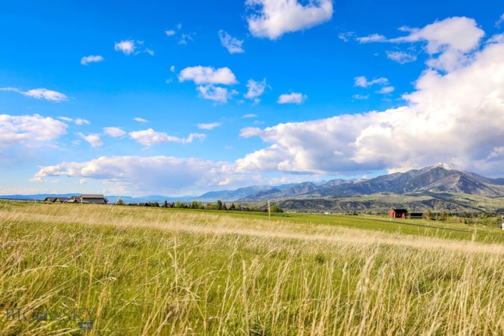 Tract 3A Mcgee Drive, Bozeman MT 59715