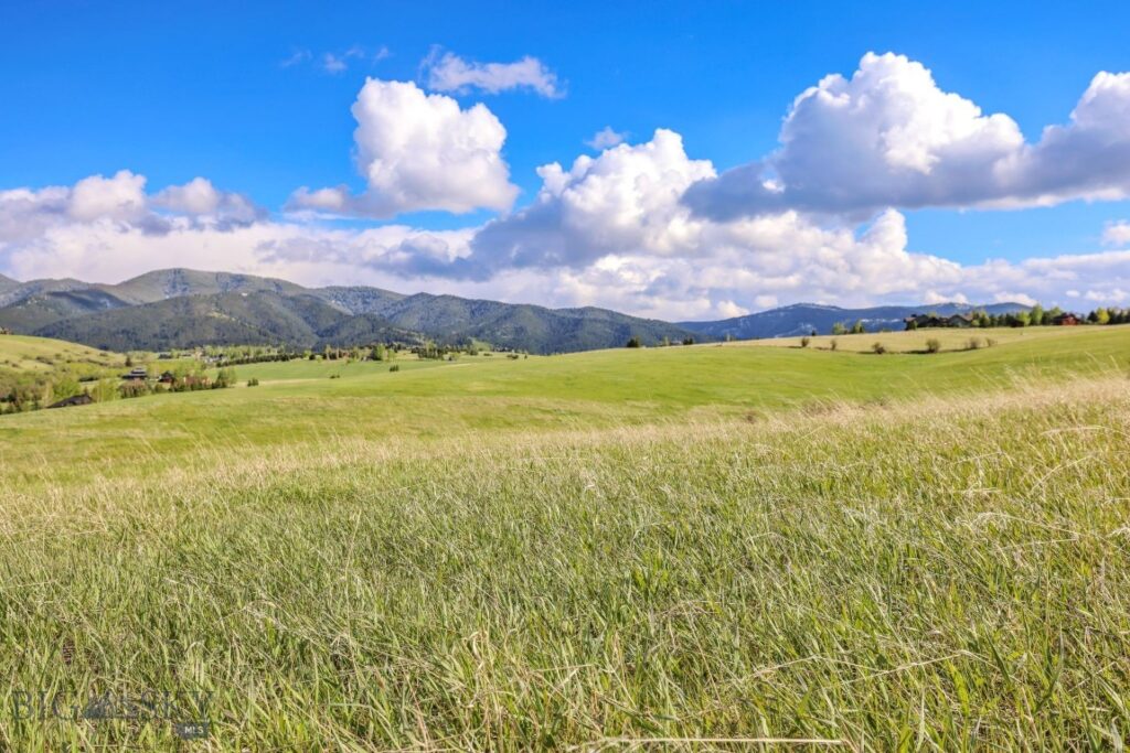 Tract 3A Mcgee Drive, Bozeman MT 59715