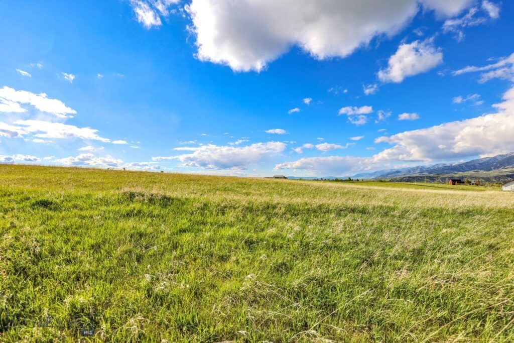 Tract 3A Mcgee Drive, Bozeman MT 59715