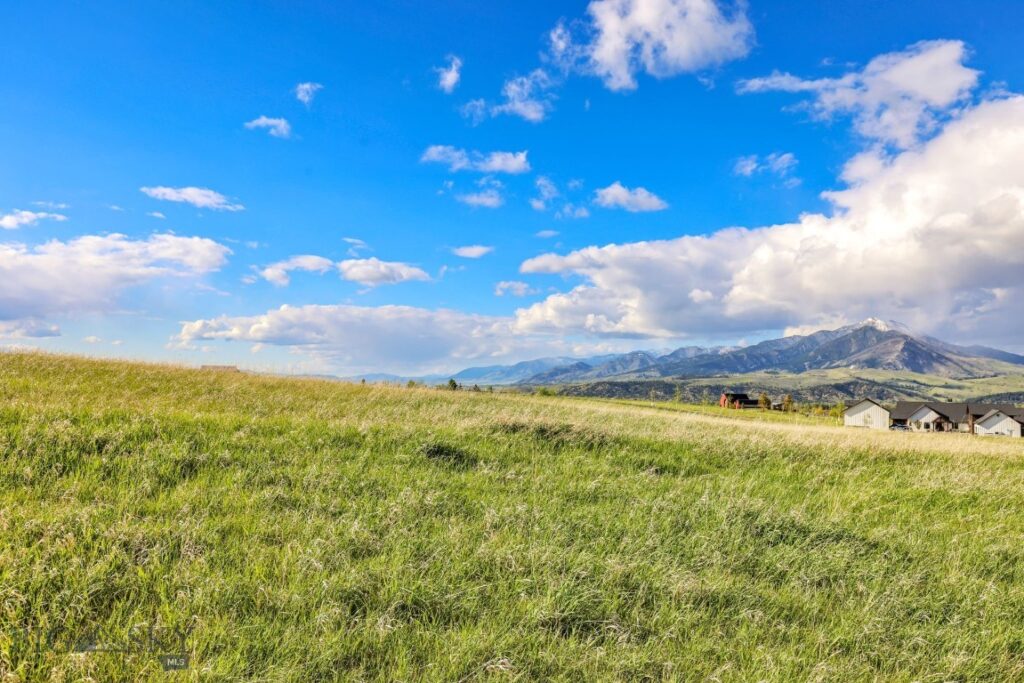 Tract 3A Mcgee Drive, Bozeman MT 59715