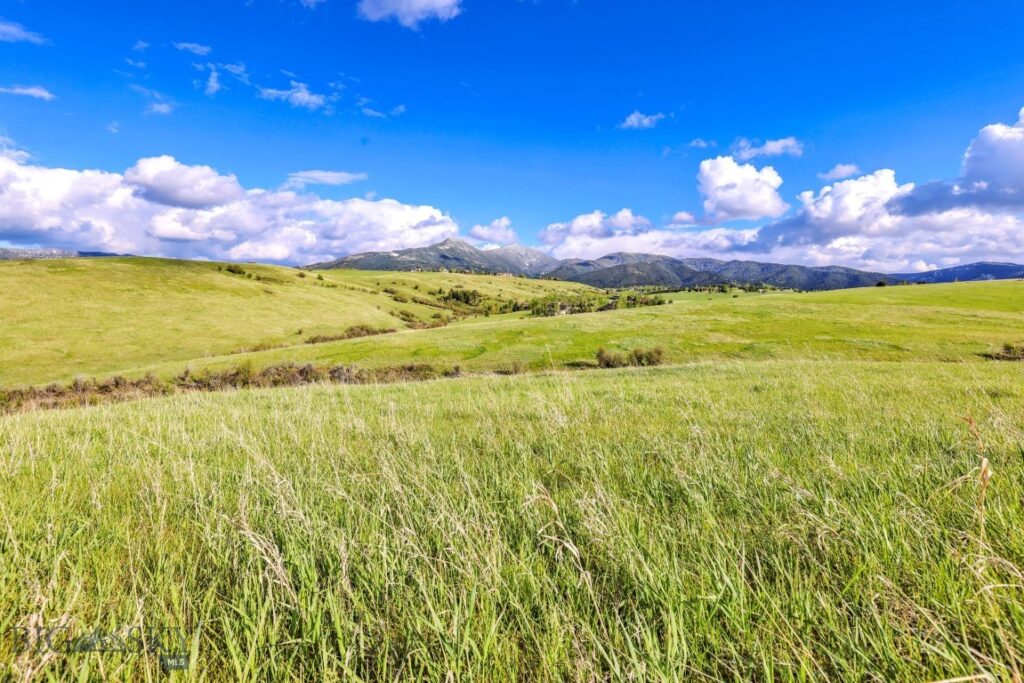 Tract 3A Mcgee Drive, Bozeman MT 59715