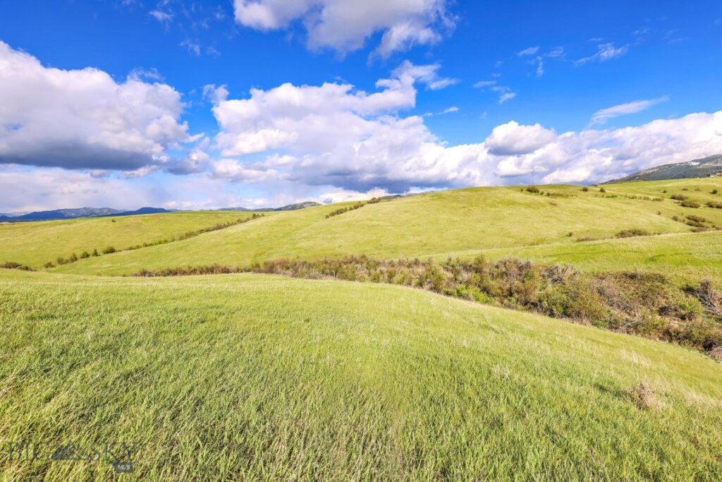 Tract 3A Mcgee Drive, Bozeman MT 59715