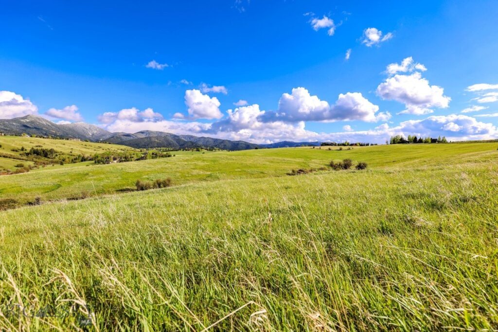 Tract 3A Mcgee Drive, Bozeman MT 59715