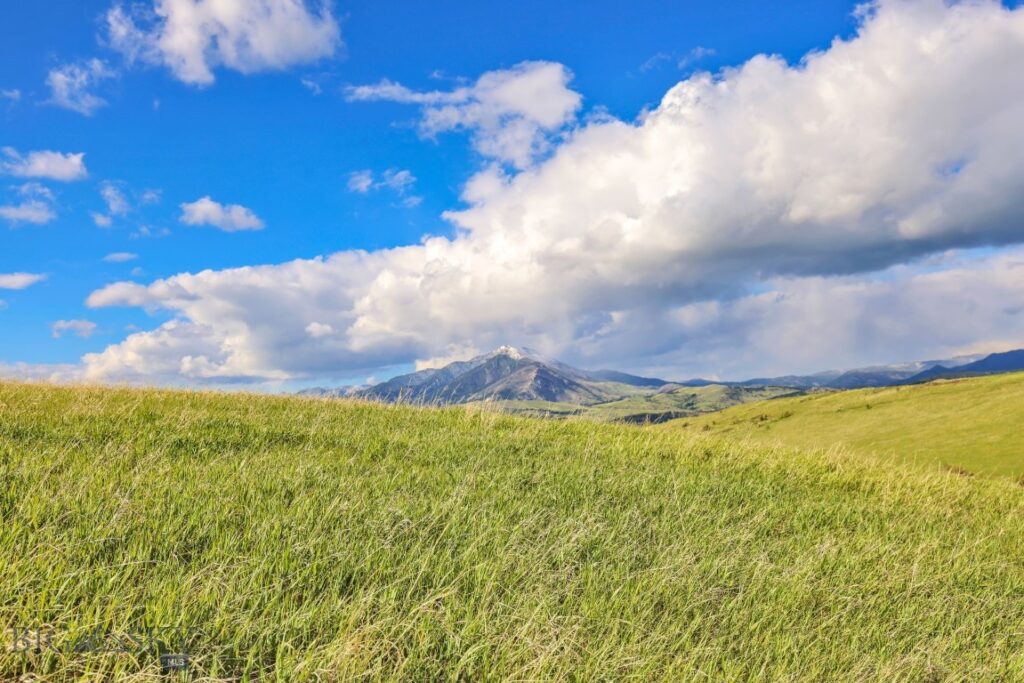 Tract 3A Mcgee Drive, Bozeman MT 59715