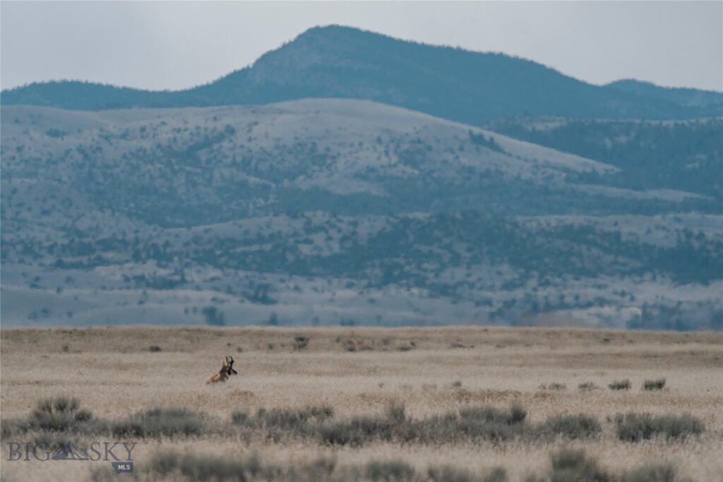 TBD Bradley Road, Toston MT 59643