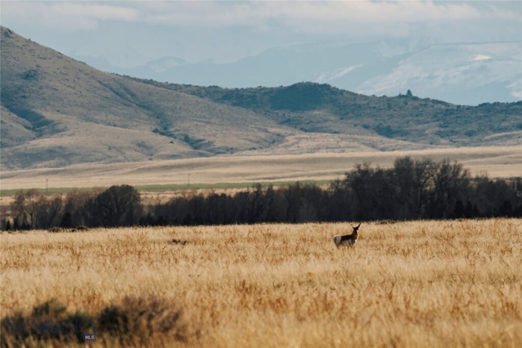 TBD Bradley Road, Toston MT 59643