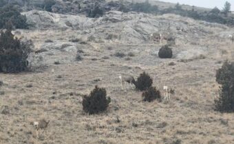 TBD Bradley Creek Rd, Norris MT 59745